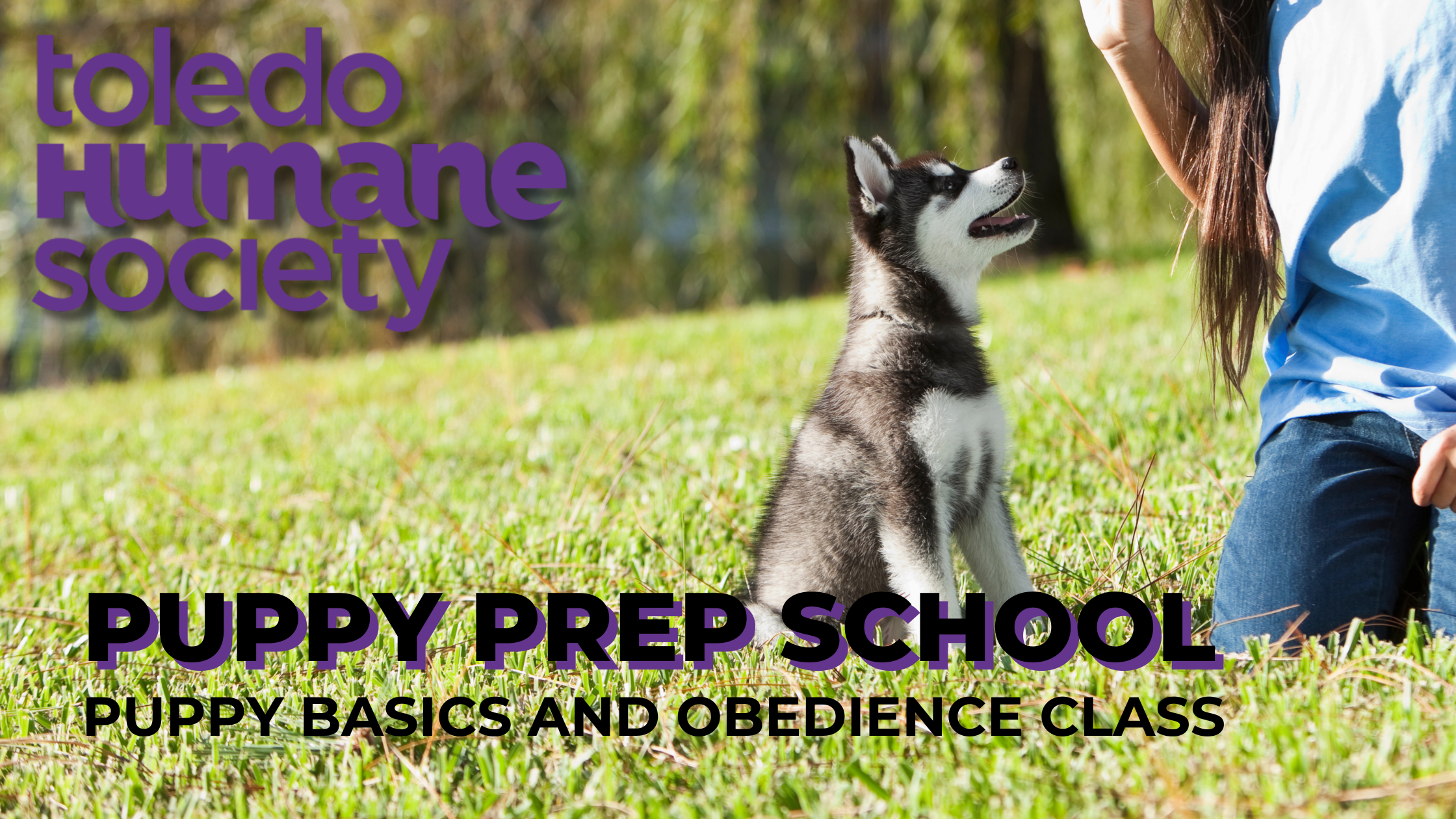 Puppy Prep School - Puppy Training Class thumbnail