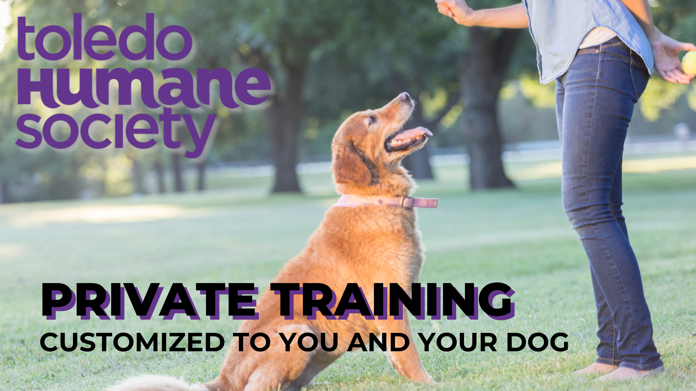 Private Dog Training thumbnail