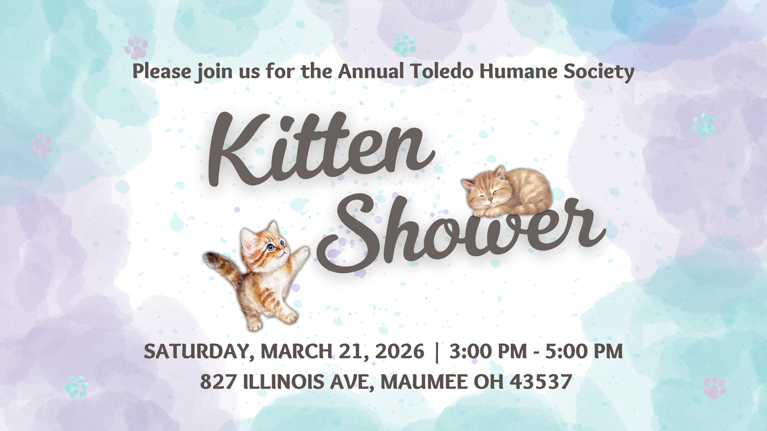 Kitten Shower Donation Drive thumbnail