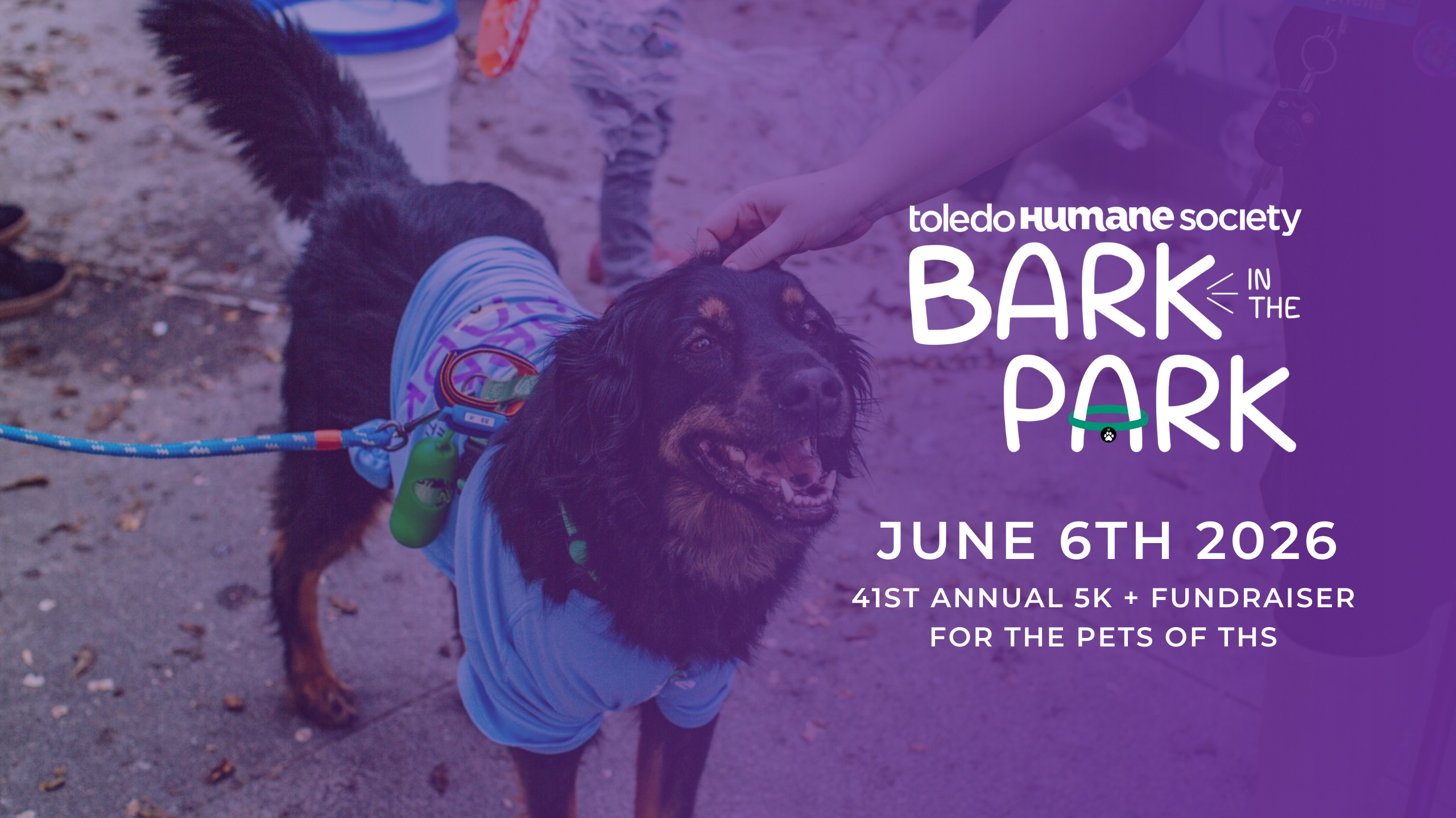 41st Annual Bark in The Park thumbnail