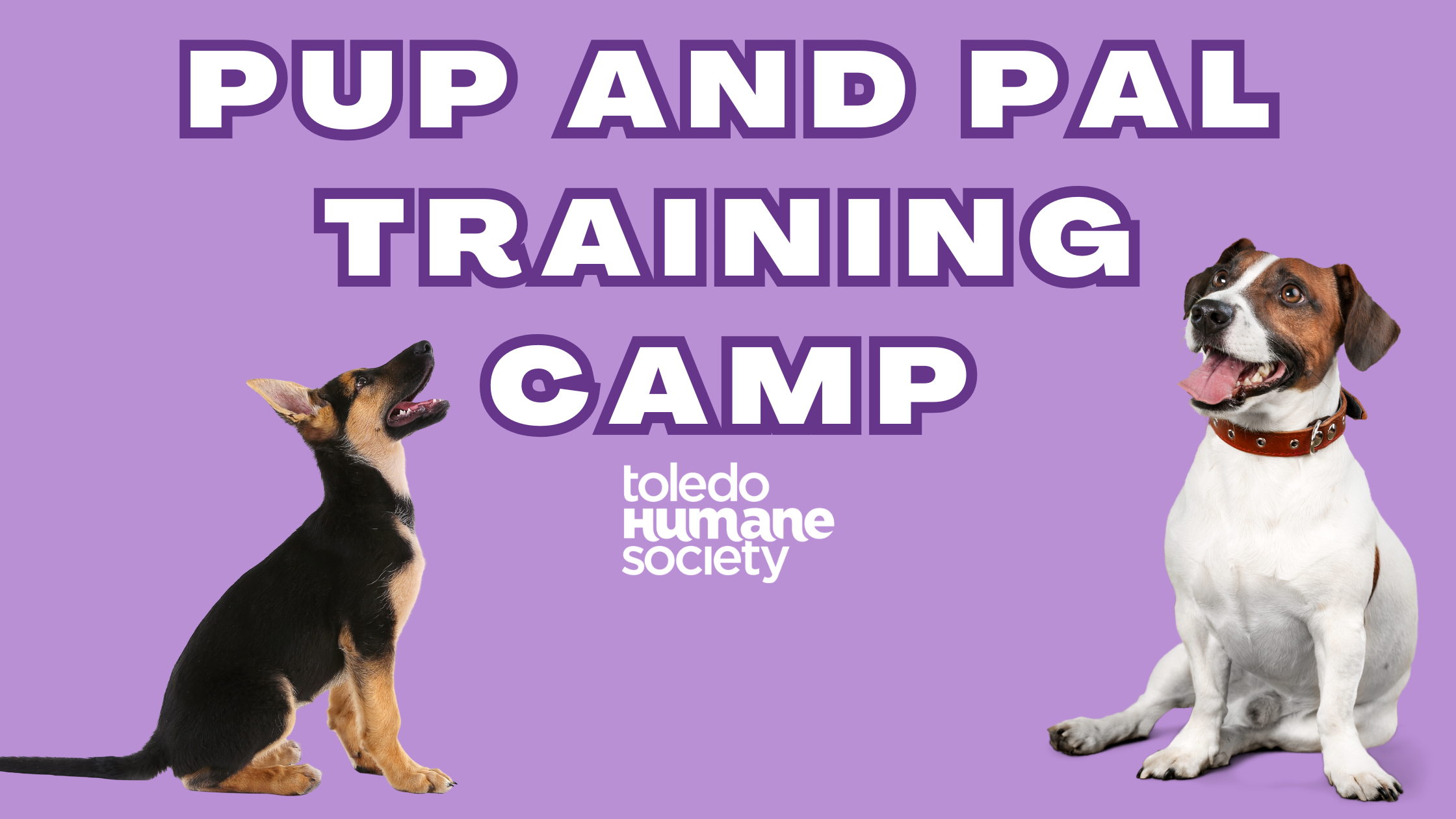 Pup and Pal Training Camp thumbnail