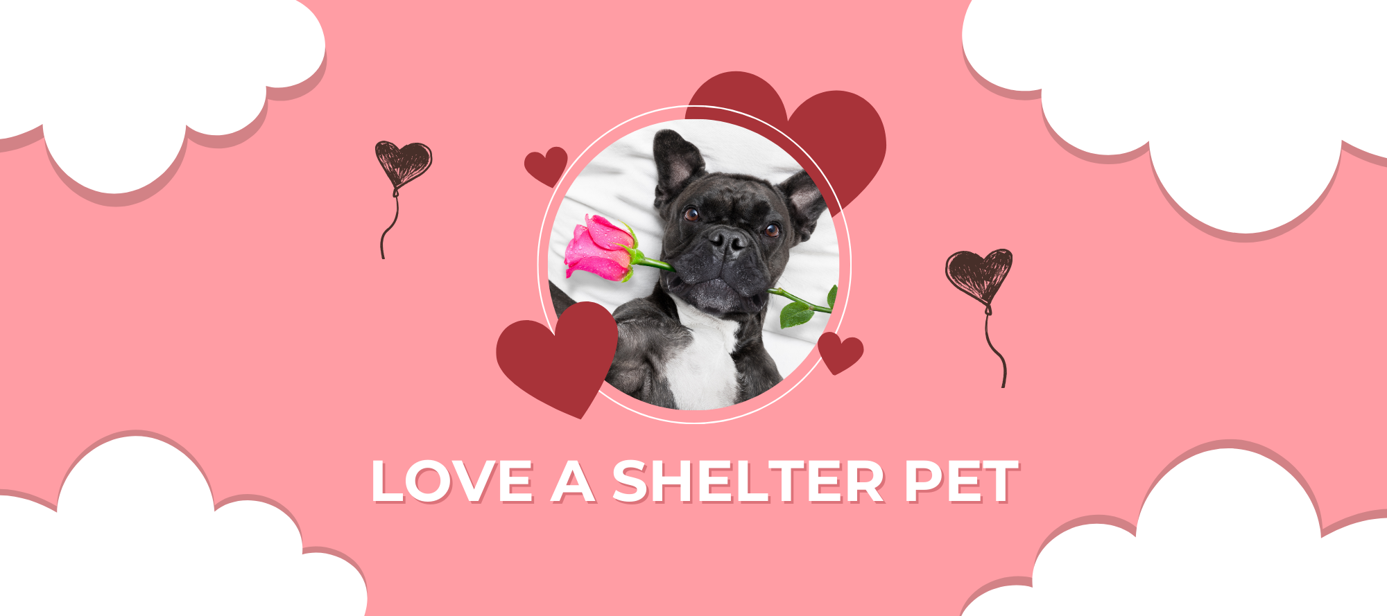 Love A Shelter Pet thumbnail