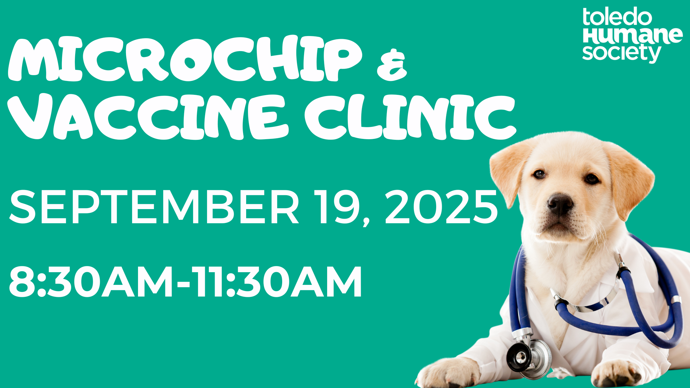 Microchip Clinic thumbnail