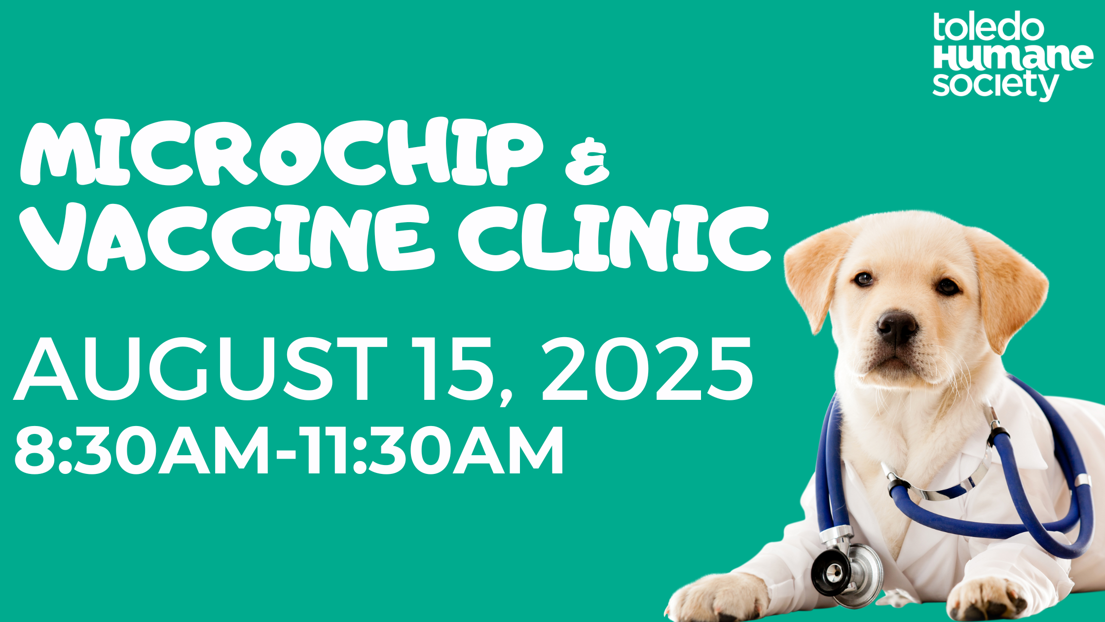 Microchip Clinic thumbnail